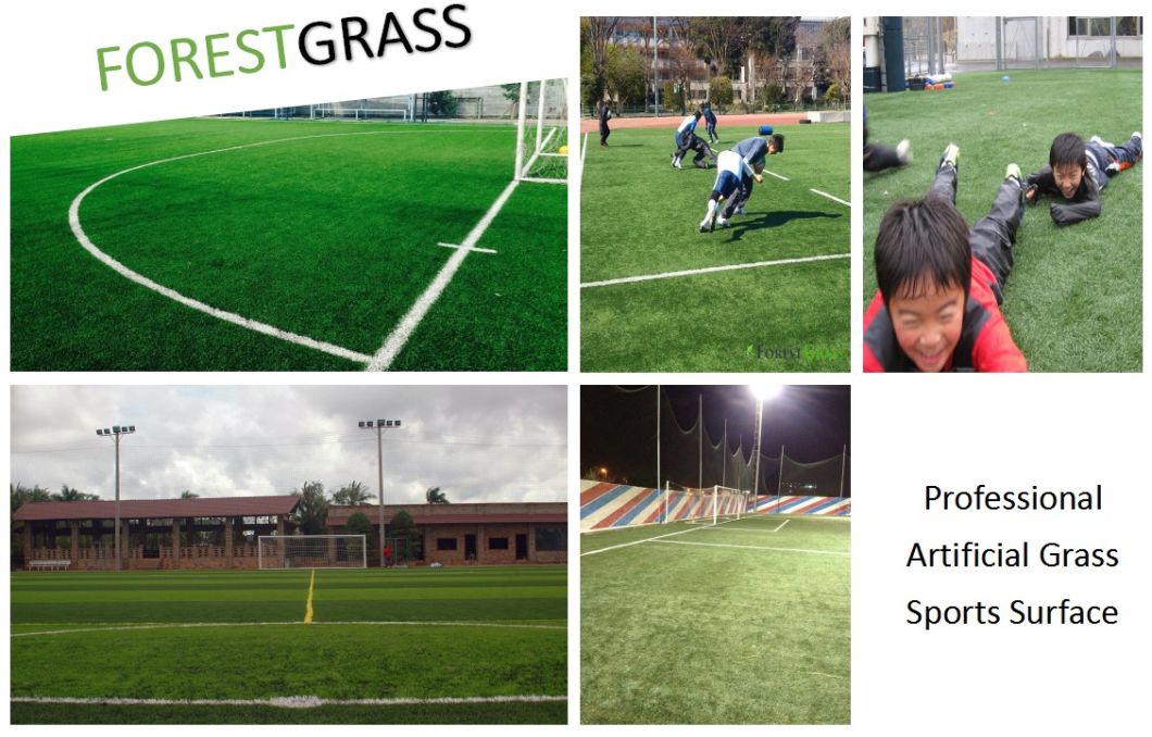 Synthetic Turf for Indoor Soccer/Artificial Grass for Futsal