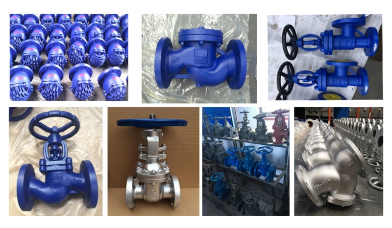 Resistance Ease Closure Check Valve Control Valve Globe Valve for Water Industry