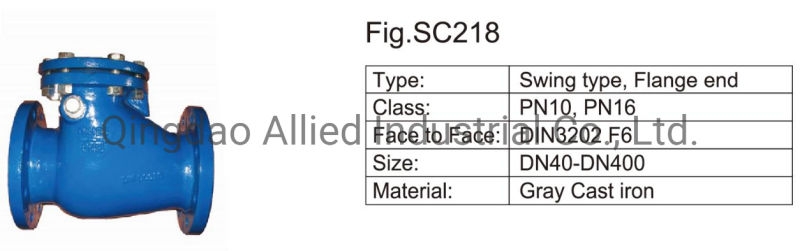 Flanged Swing Check Valve