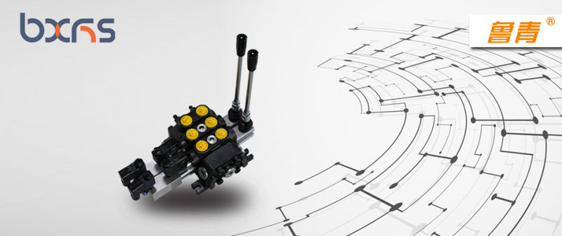 Hydraulic Monoblock Directional Control Valves Dcv Series Valves 60 L/Min Flow Control Valve with High Quality