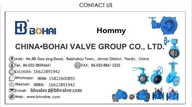 Electric Flanged Butterfly Valve Pipe Price