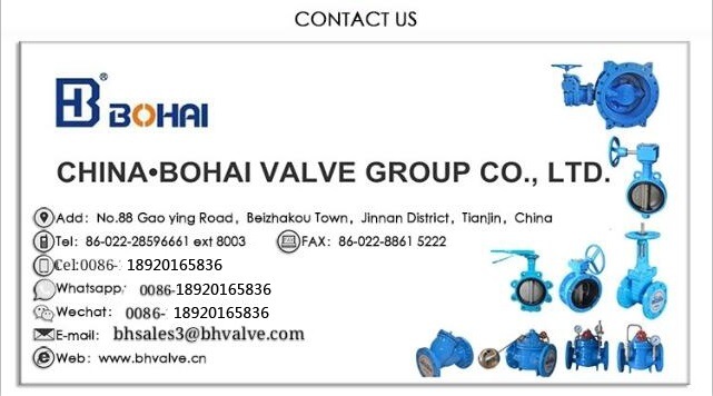 Butterfly Type Check Valve Cast Iron Body with CF8m Plant