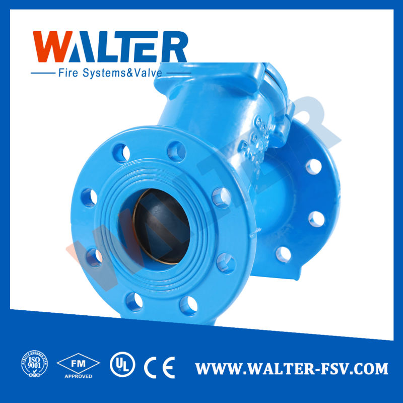 Ductile Iron/Cast Iron Ball Check Valve for Water Supply System