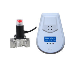 110V AC LPG/Natural Gas Detector Alarm with Gas Valve