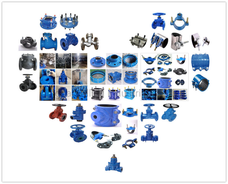 Ggg40/Ggg50 Resilient Seated Gate Valve F4/F5, Ductile Iron Gate Valve, Gate Valves