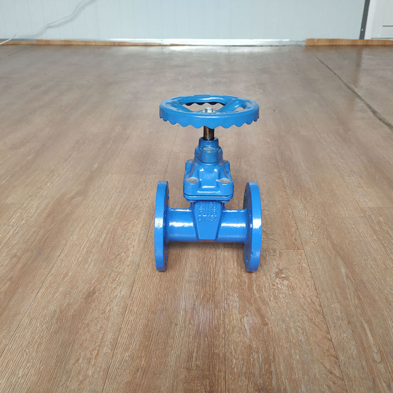 Dn 200 8 Inch Gate Valve Resilient Seated Ductile Cast Iron Gate Valve Square Nut Operation Underground Water Valve