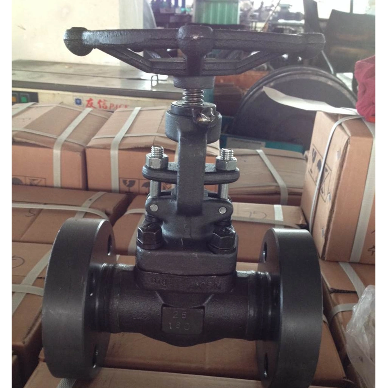 API Class 150-800 Forged Steel Wcb Carbon Steel Gate Valve Globe Valve Stainless Steel Ball Valve Pipe Fitting Control Valve Check Valve
