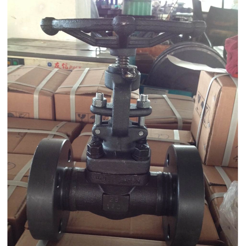 API 602 Flange 150lb-800lb Forged Steel Carbon Steel Wcb Gate Valve Motorized Valves Globe Valve Class 600 Check Valve PVC Ball Valve