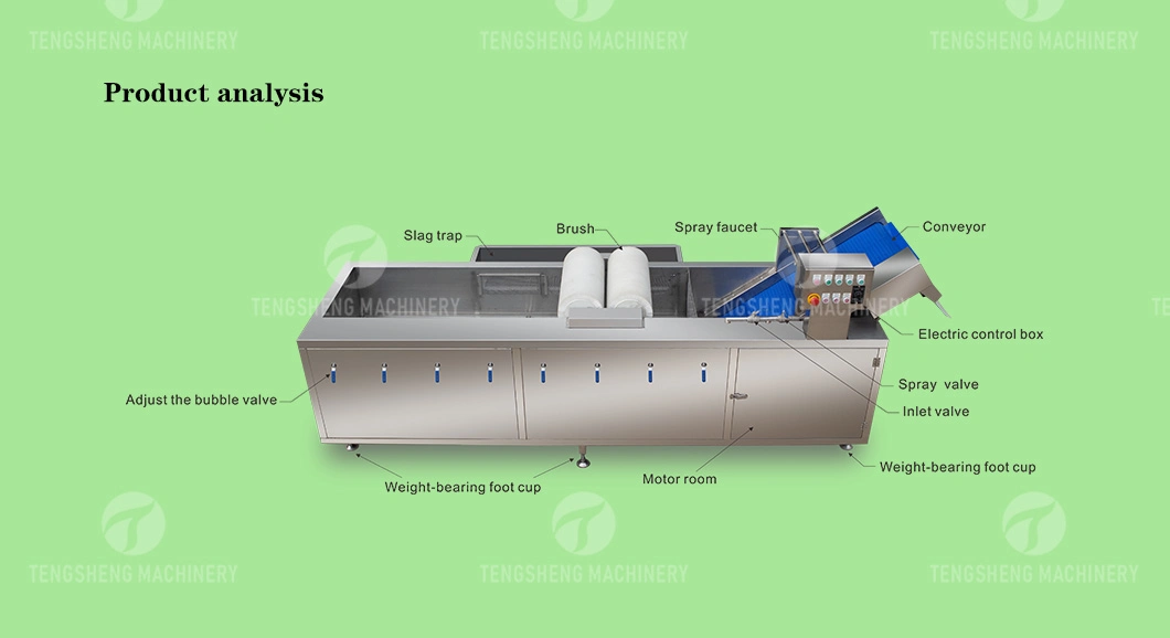 Multifunction Fruit and Vegetables Bubble Washer Fruit and Vegetable Washing Machine (TS-X300M)