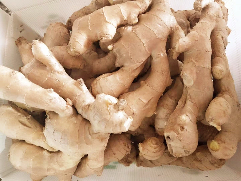 Organic Ginger, Dried Organic Ginger, Ginger From China
