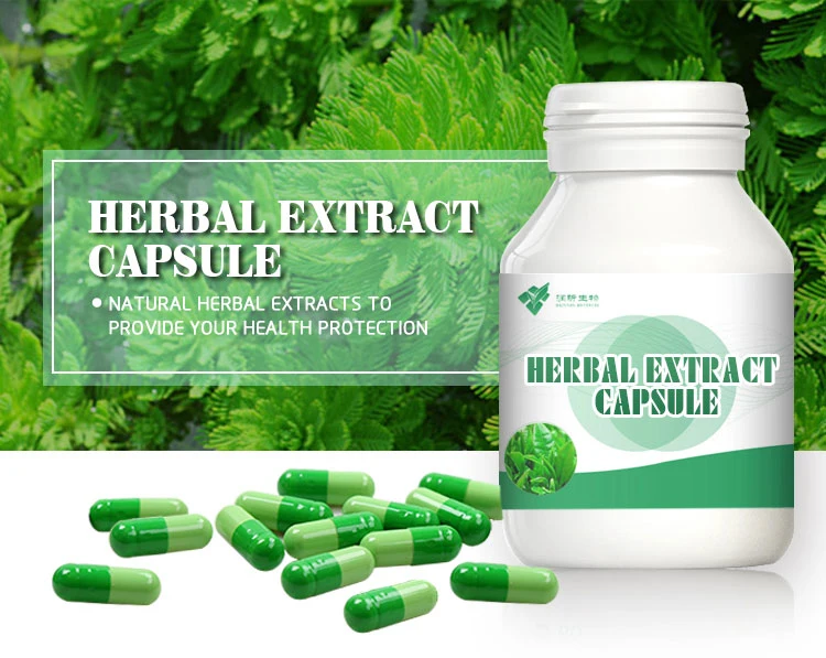 Weight Loss Slimming Extract Capsules with Green Tea Extract