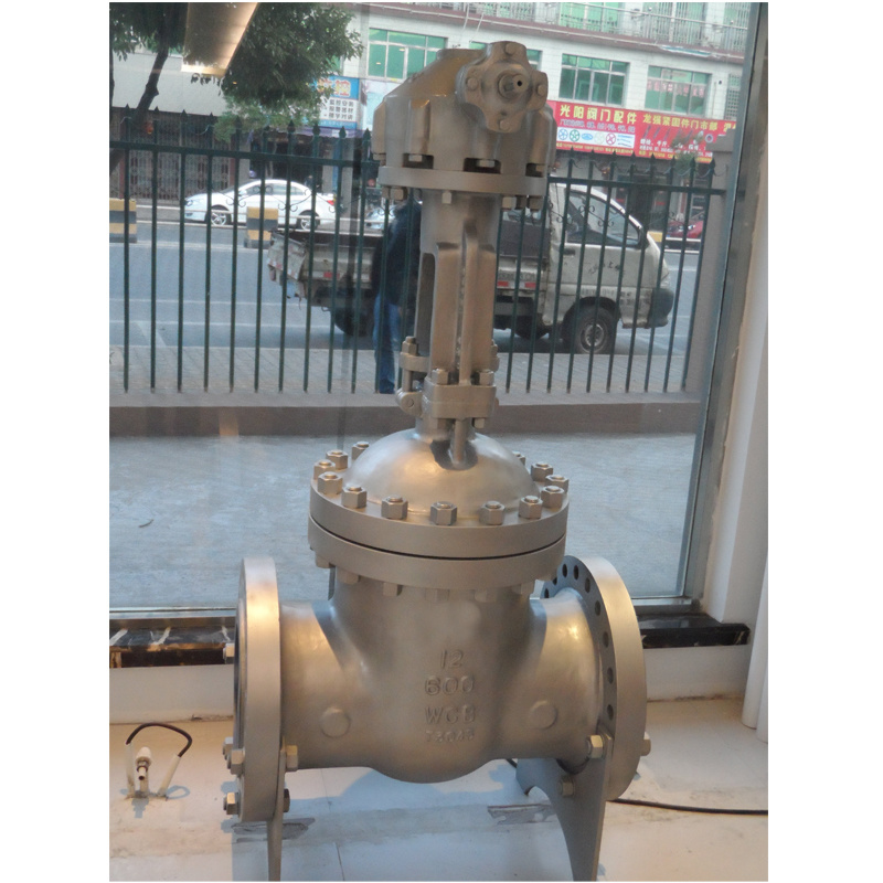 API 600 150lb/300lb Wcb Stainless Steel Flanged OS&Y Industrial Ss Gate Valve Cast Iron Gate Valve Globe Valve