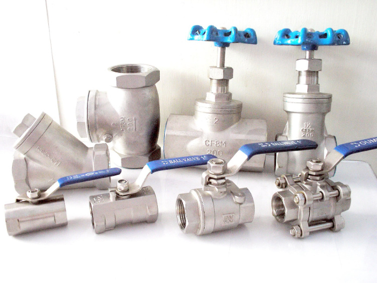 304/316 Stainless Steel Gate Valve with Bsp Thread