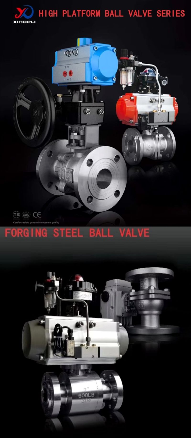 Cast Steel Globe Valve, Chock Valve in Stainless Steel