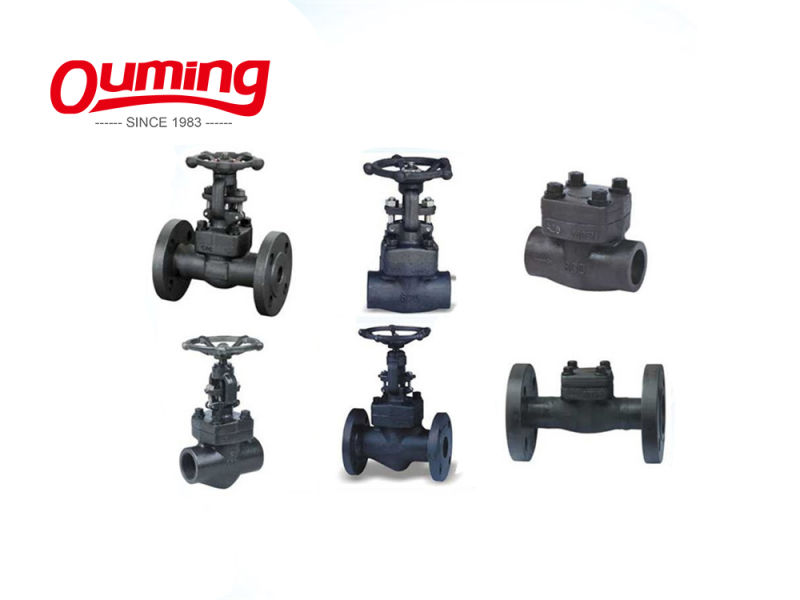 Difference Between Gate Valve & 800lb Forged Steel Flanged Globe Valve