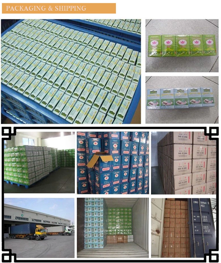 Chinese Organic Green Tea Gunpowder 3505 and 3505A Tea Factory