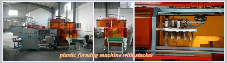 Full Automatic Plastic Vacuum Forming Machine (HY-510580)