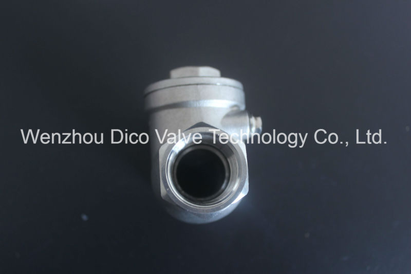 Stainless Steel Swing Check Valve with Thread End 200wog