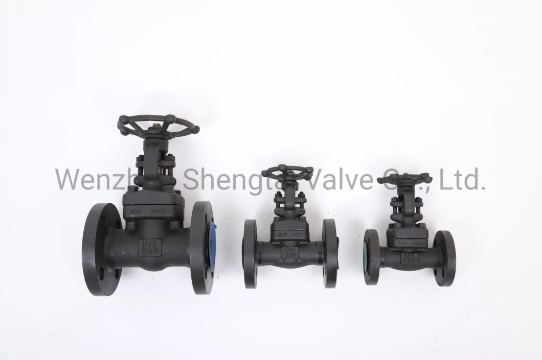 API Integral Flange Wedge Gate Carbon Steel Forged Steel Stainless Steel Gate Valve (Z41H-300LB-DN25)