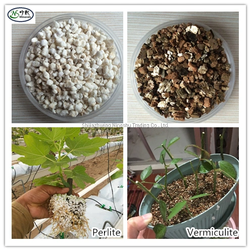 Fireproof Materials Expanded (Exforated) Vermiculite for Manufacturing Light Concrete