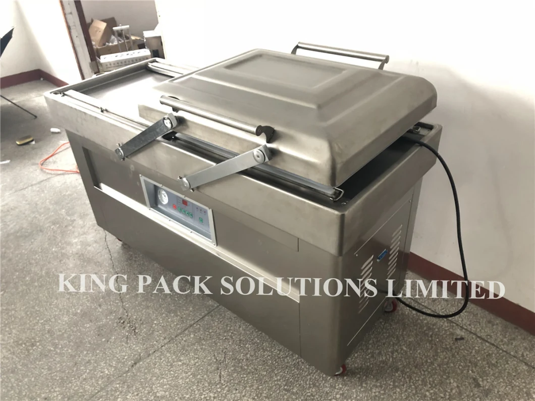 Vacuum Sealer Machine Food Meat Fruit and Vegetable Vacuum Packing Machine