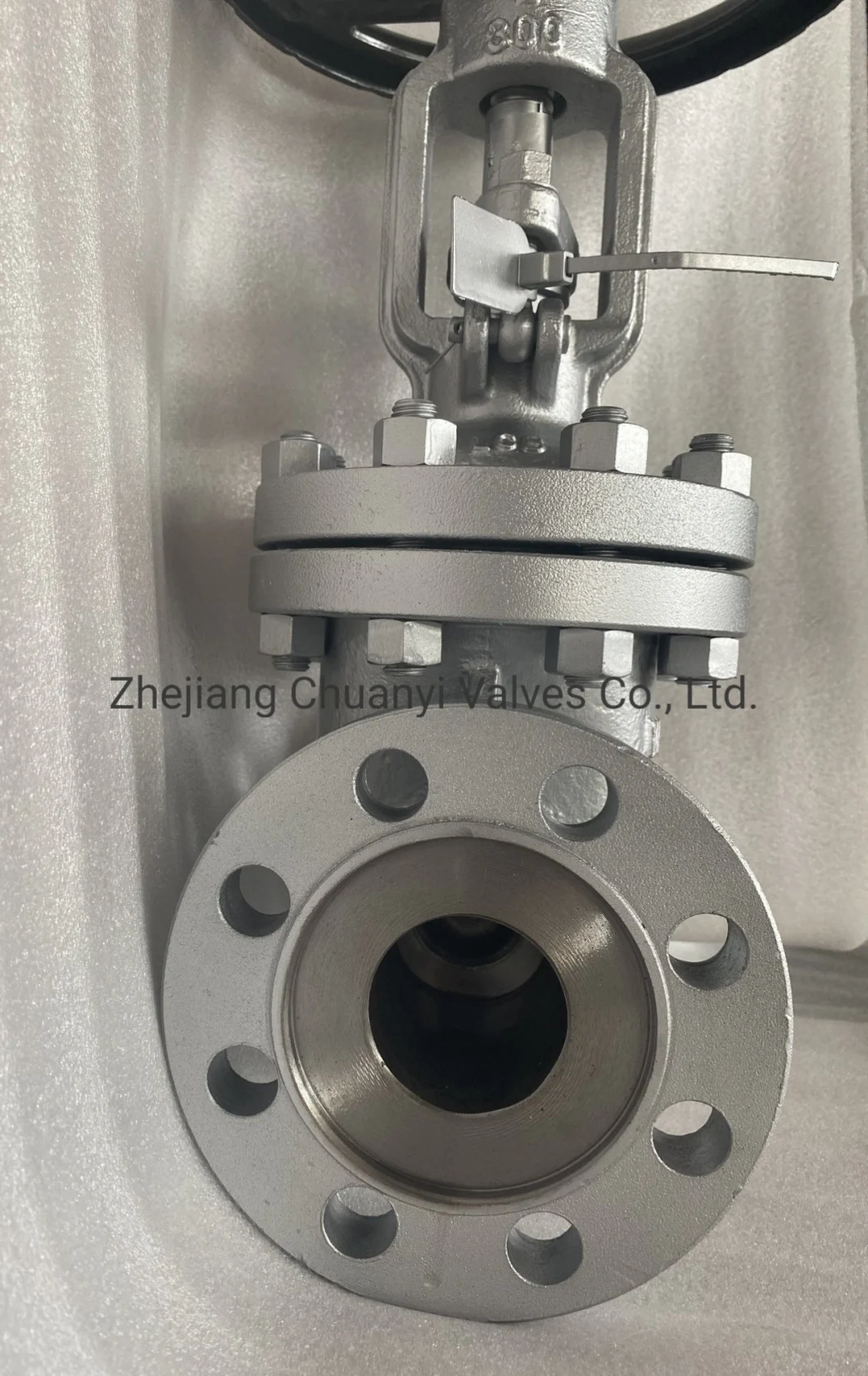 Flanged Connection OEM Carbon Steel Stainless Steel Wedge 300lb 2