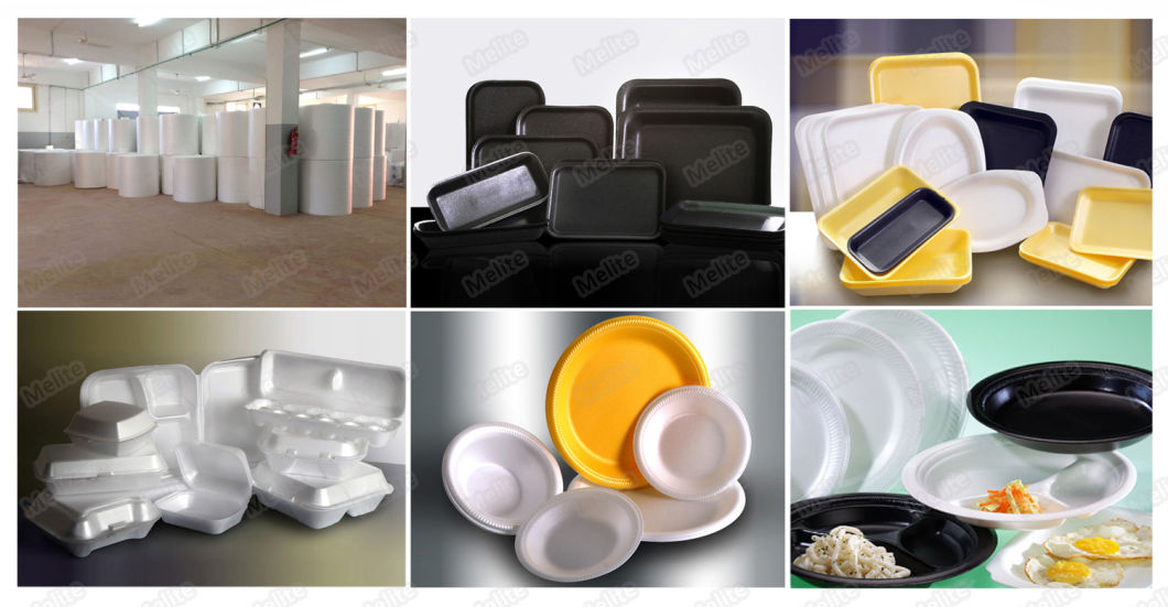 Disposable PS Foam Thermocol Plate Take Away Food Plate Box Bowl Tray Making Machine Mt105/120