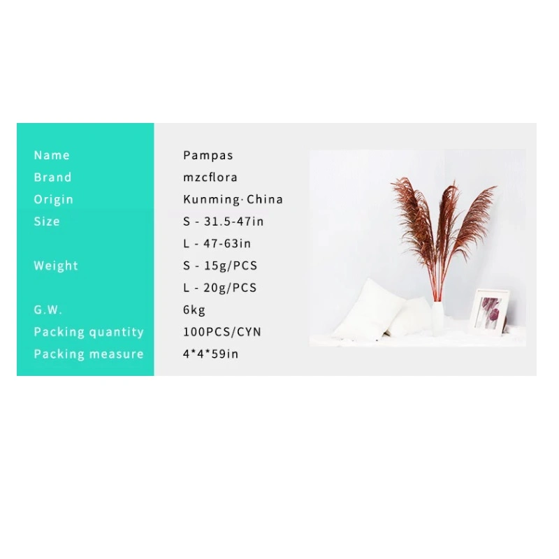 Artificial Tall Pampas Grass Dried Preserved Flowers and Plants