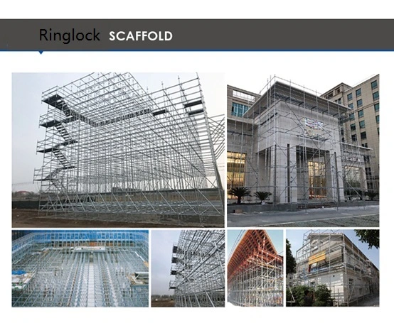 Latest Cheap Safety American Movable Ringlock System Scaffolding Prop for Sale