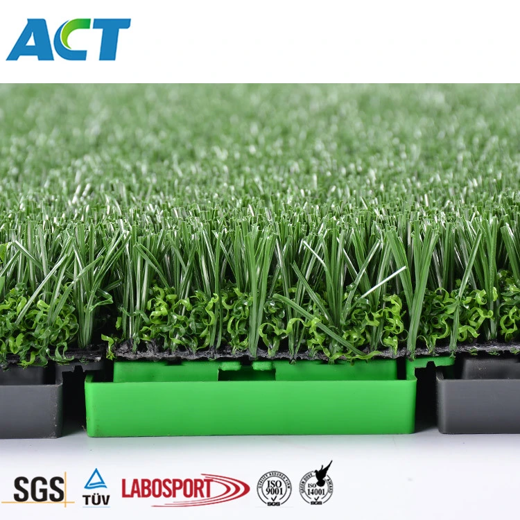2018 Latest Indoor/Outdoor Artificial Turf for Sports Soccer Grass (Y30-R1)