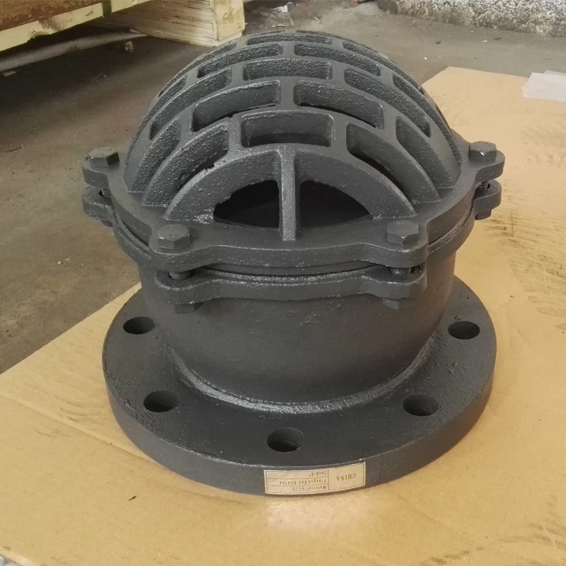 BS Flange End Ductile Iron Pn16 Foot Valve Check Valve Non Butterfly Valve Globe Valve