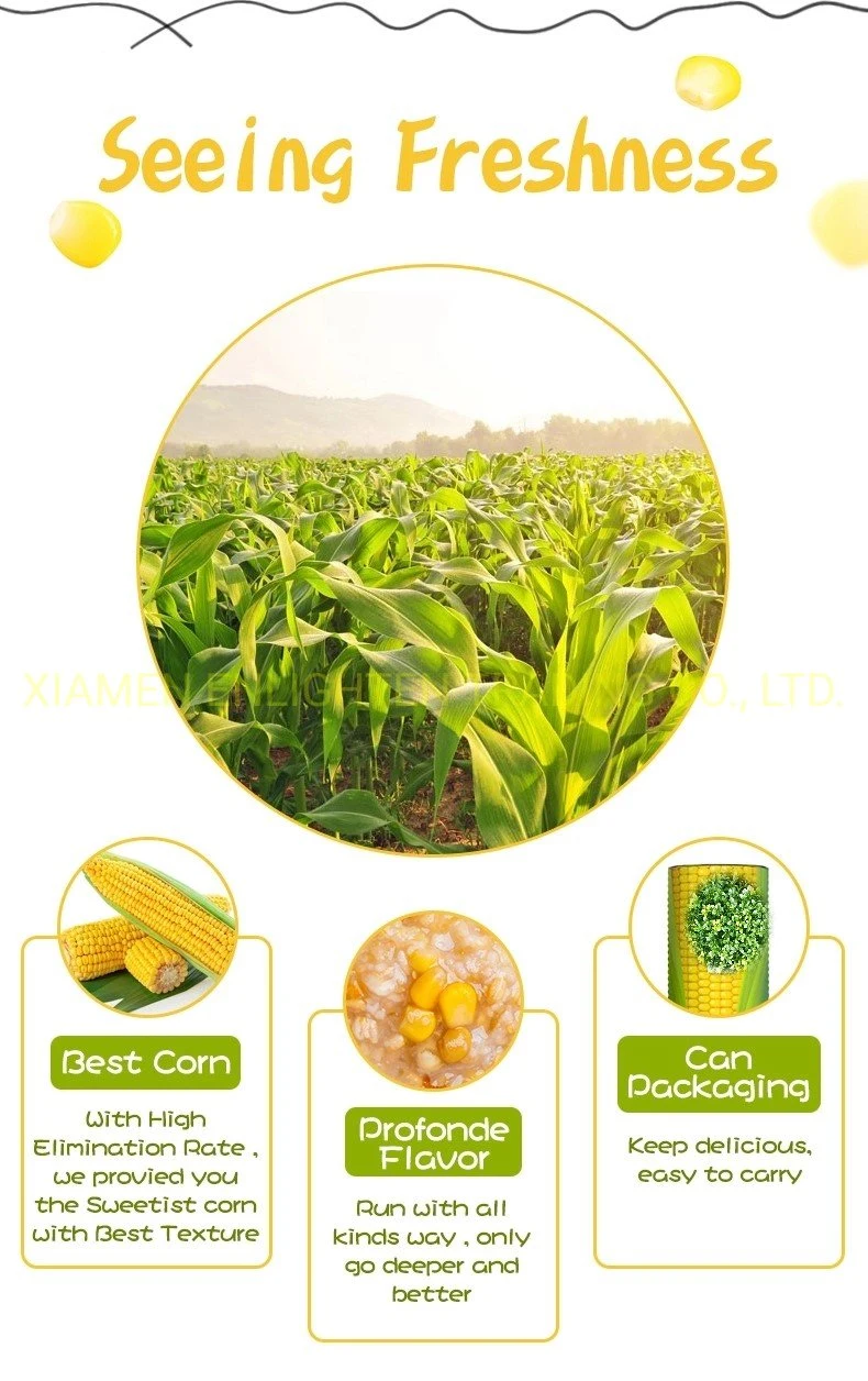 High-Quality Frozen Dried Super Dried Yellow Sweet Corn or Animal Feed Yellow Sweet Corn Dried