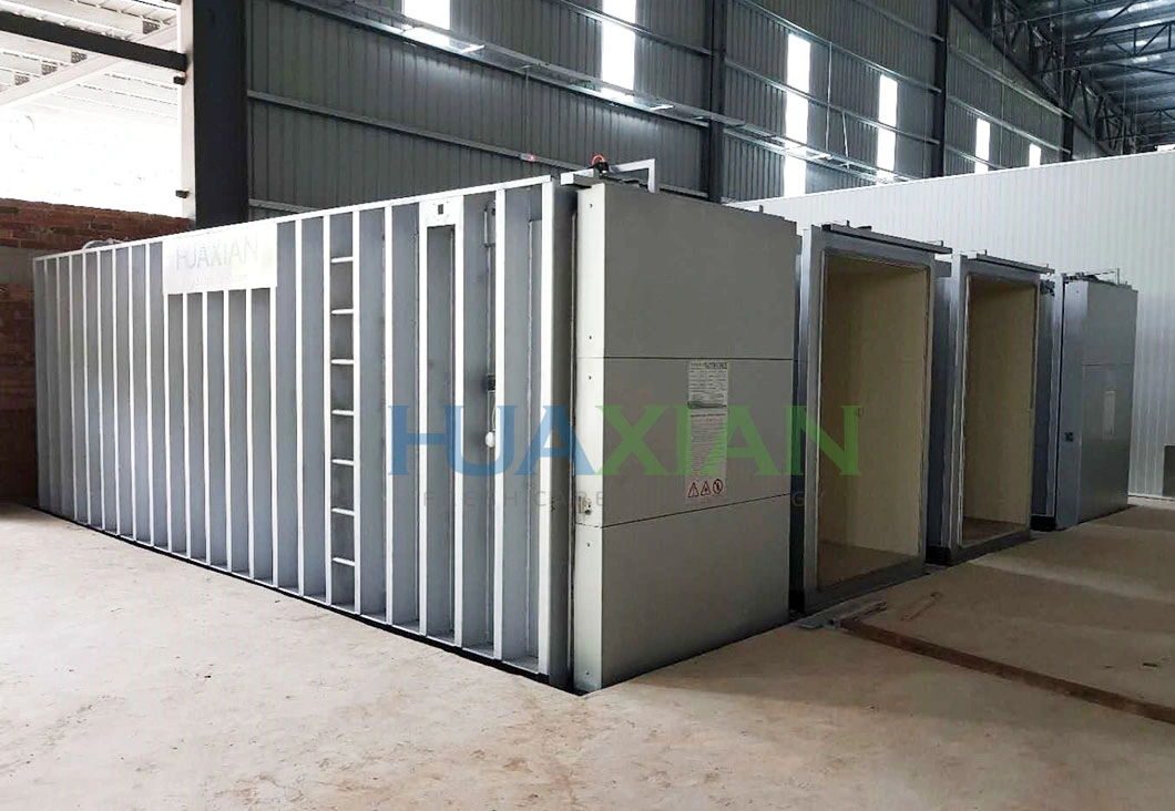 6 Pallets One Use One Standby Double Chambers Cooling Vacuum Machine, Vegetable/Fruit/Flower Agricultural Machine