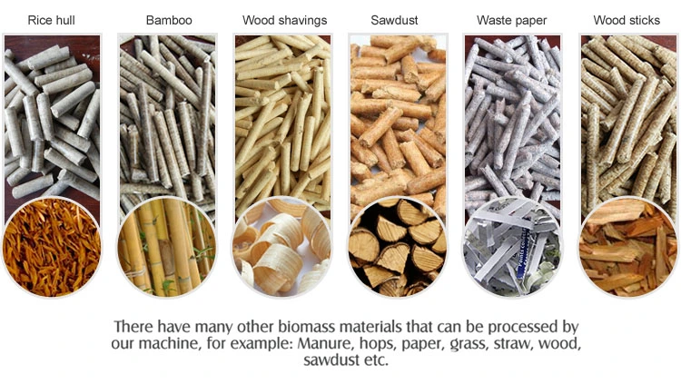 Wood Sawdust Rice Husk Bamboo Wood Pellet Machine Pellet Mill for Biomass Pellet
