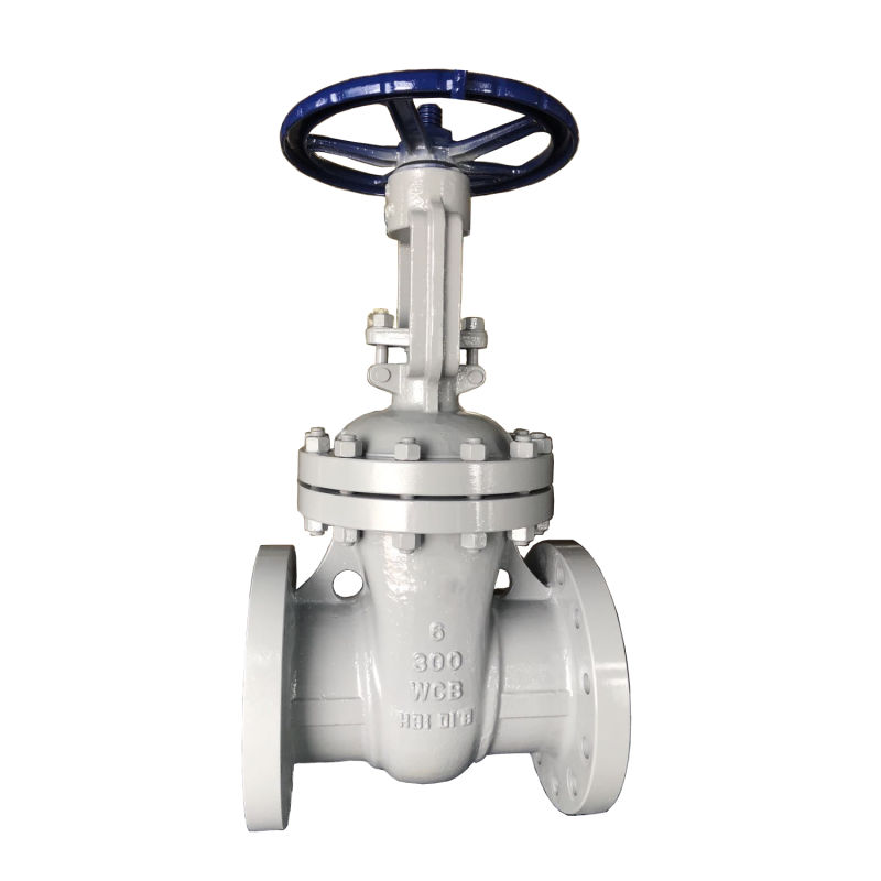 ANSI API Carbon/Stainless Steel Flanged Rising Metal Seated Gate Valve Shut off Valve PVC Ball Valve Brass Gate Valve