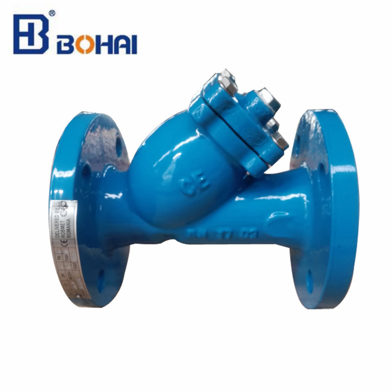 Y Type Strainer with Ductile Iron Body From Chinese Supplier