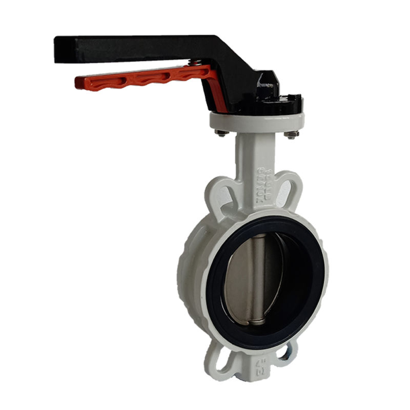 DIN Pn16 304 Disc Ductile Iron Body Lever Handle Wafer Butterfly Valve Globe Valve Industrial Valve