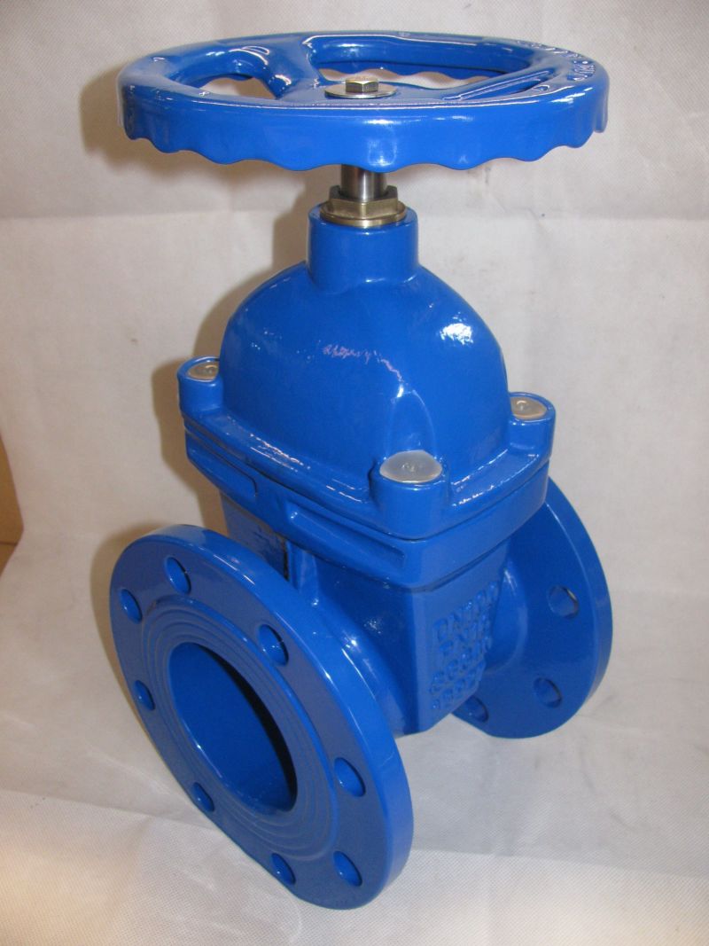 China Wholesale Resilient Seated Gate Valve Fire Gate Valve Drain Valve