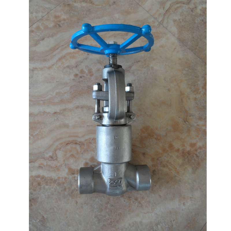 DIN/JIS/BS/API Forged Globe Valve Class 800lb 1500lb 2500lb Globe Valve Threaded End OS&Y Valve Globe Valve