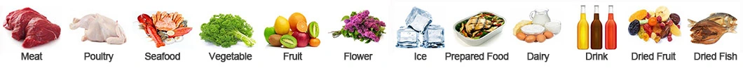 New Keep Flower Fresh Agriculture Machine, Fast Cooling Machine for Rose Farm, Vegetable Vacuum Cooler