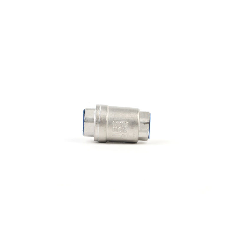 Stainless Steel 304/316 H12W Vertical Threaded Check Valve