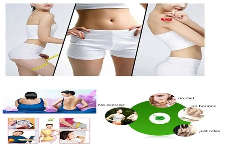 Weight Loss Function L-Carnitine + Green Tea Extract Slimming Capsules
