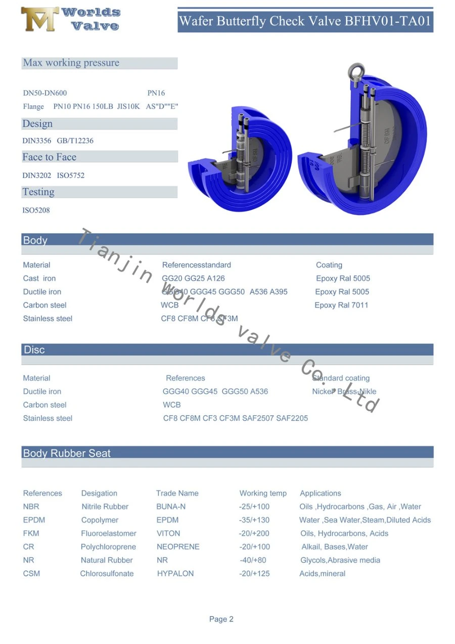 Pn16/Pn10/Class125/Class150 Stainless Steel CF8m Wafer Check Valve Non Return Valve