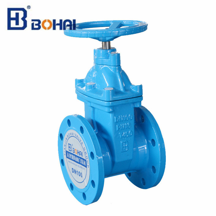 Gate Valve with Industrial Rising Resilient Seat