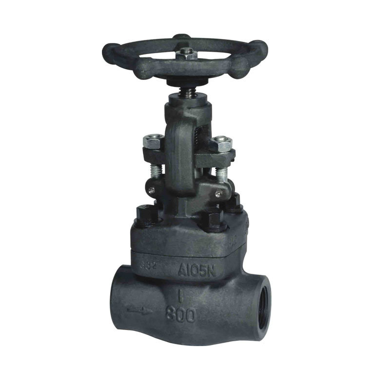 API 800lb Forged Steel Threaded Globe Valve