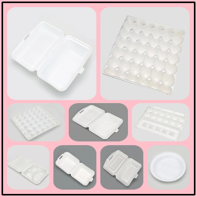 PS Disposable Foam White Styrofoam Food Containers Plate Tray Box Production Machine Line