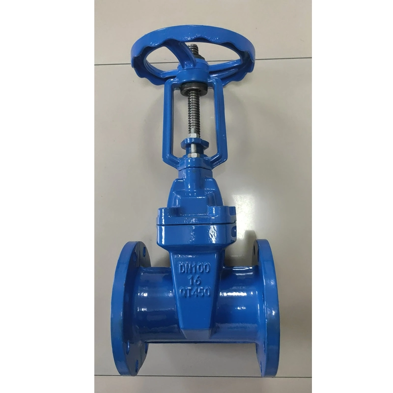 DIN F4 F5 Pn16 DN100 Cast Iron Resilent Gate Valve Globe Valve Check Valve Wafer Valve