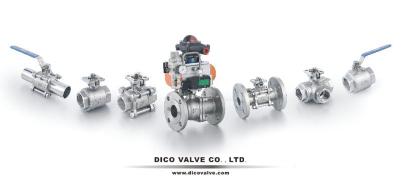 Dico Sanitary Stainless Steel 2 Way Ball Valve with Clamp End