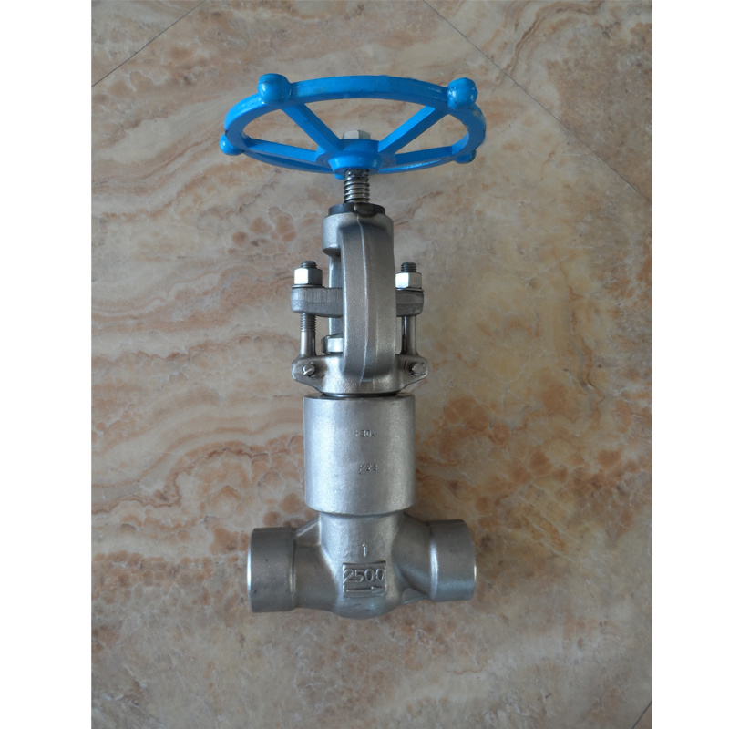 Forged Steel A105 Globe Valve with Threaded End