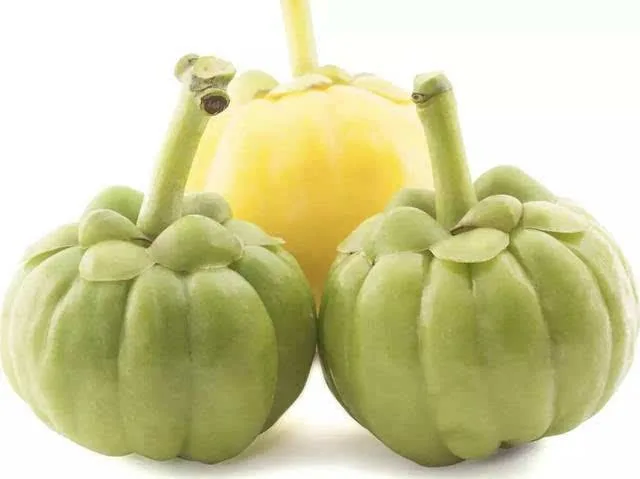 GMP Certified Organic Green Tea Slimming Weight Loss Slim Fat